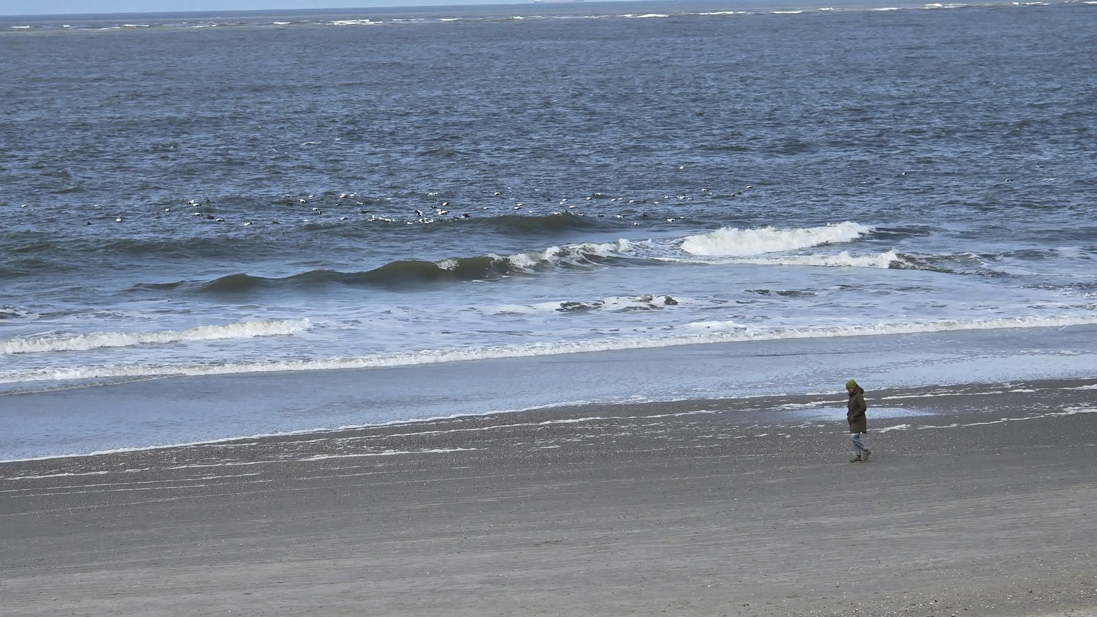Foto: Frauke Muster