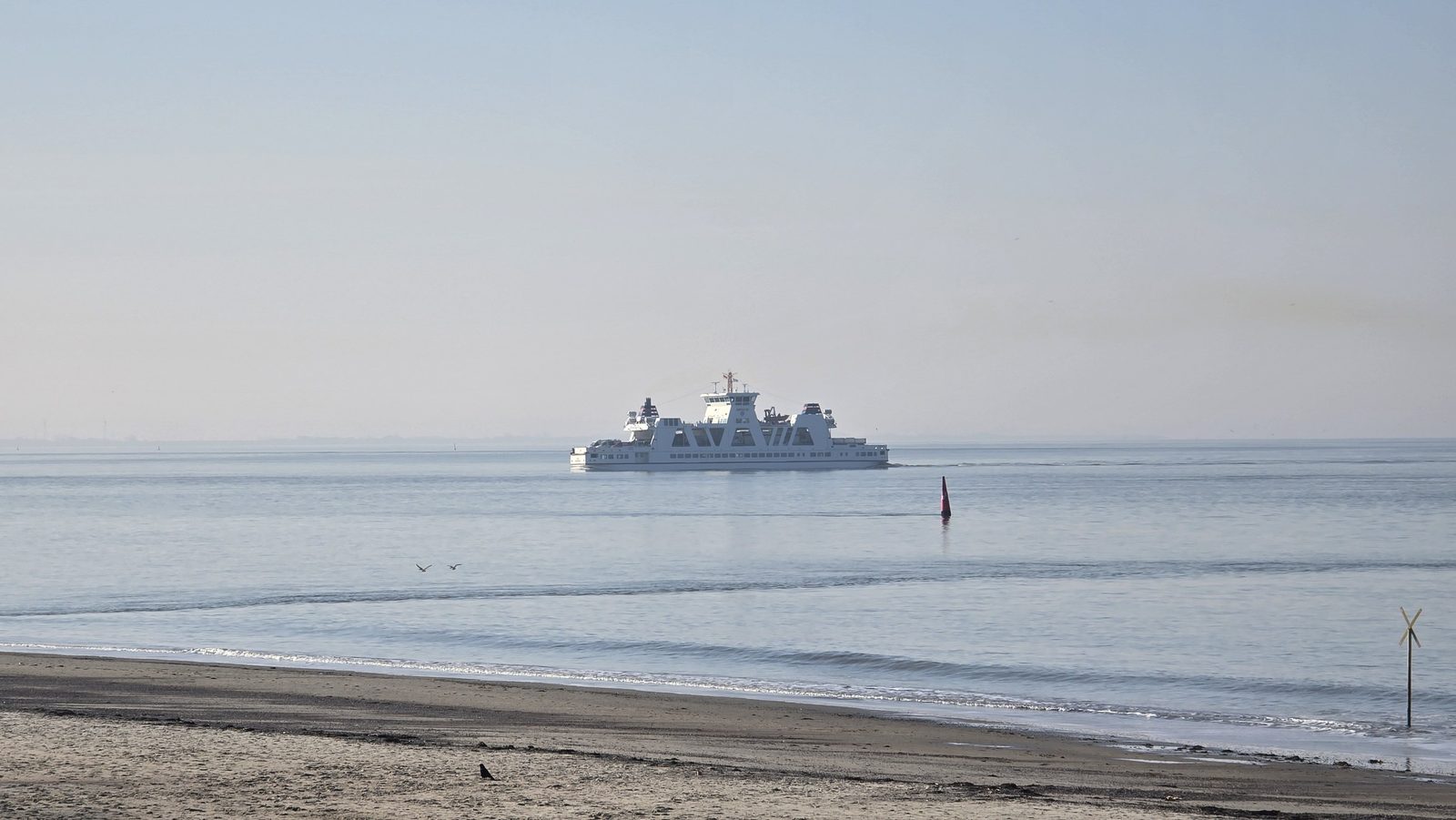 Foto: Frauke Muster